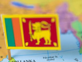Sri Lankan Economy 2024